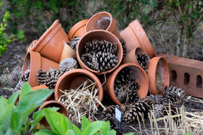 Ryton Organic Gardens